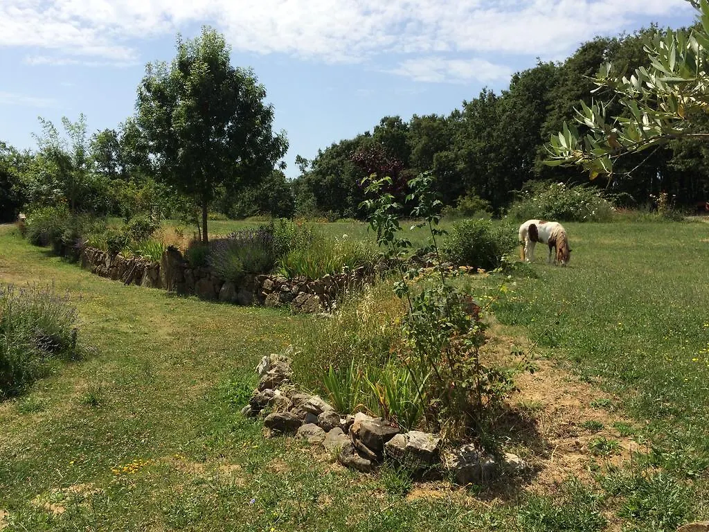 Alloggio per agriturismo Agriturismo Palareta Montecatini Val di Cecina