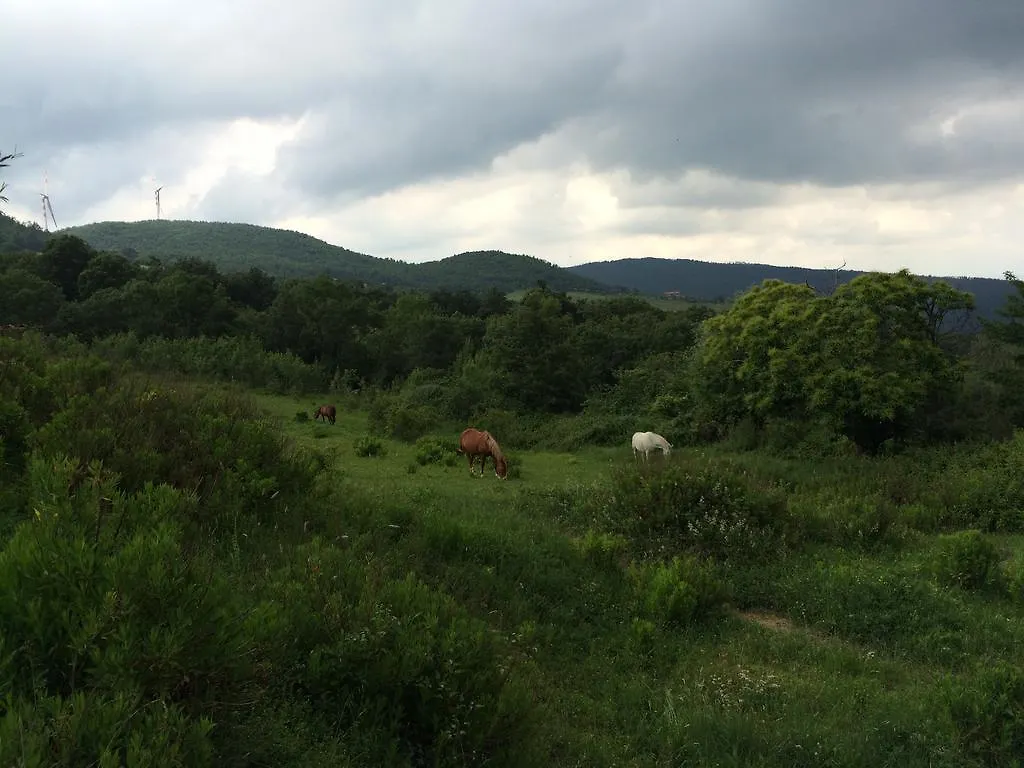 Çiftlik konaklama Agriturismo Palareta Montecatini Val di Cecina