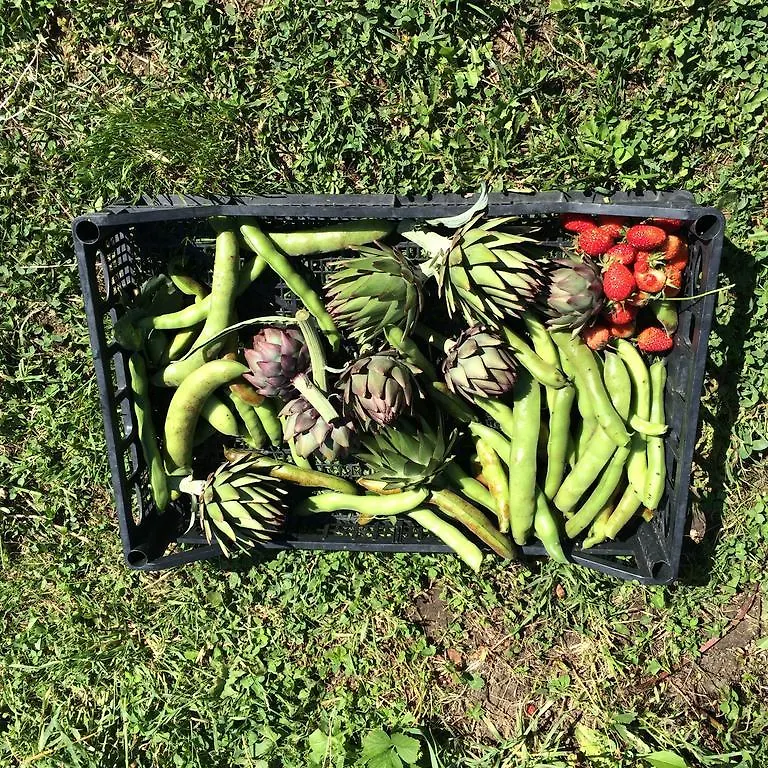 Agriturismo Palareta Montecatini Val di Cecina Çiftlik konaklama