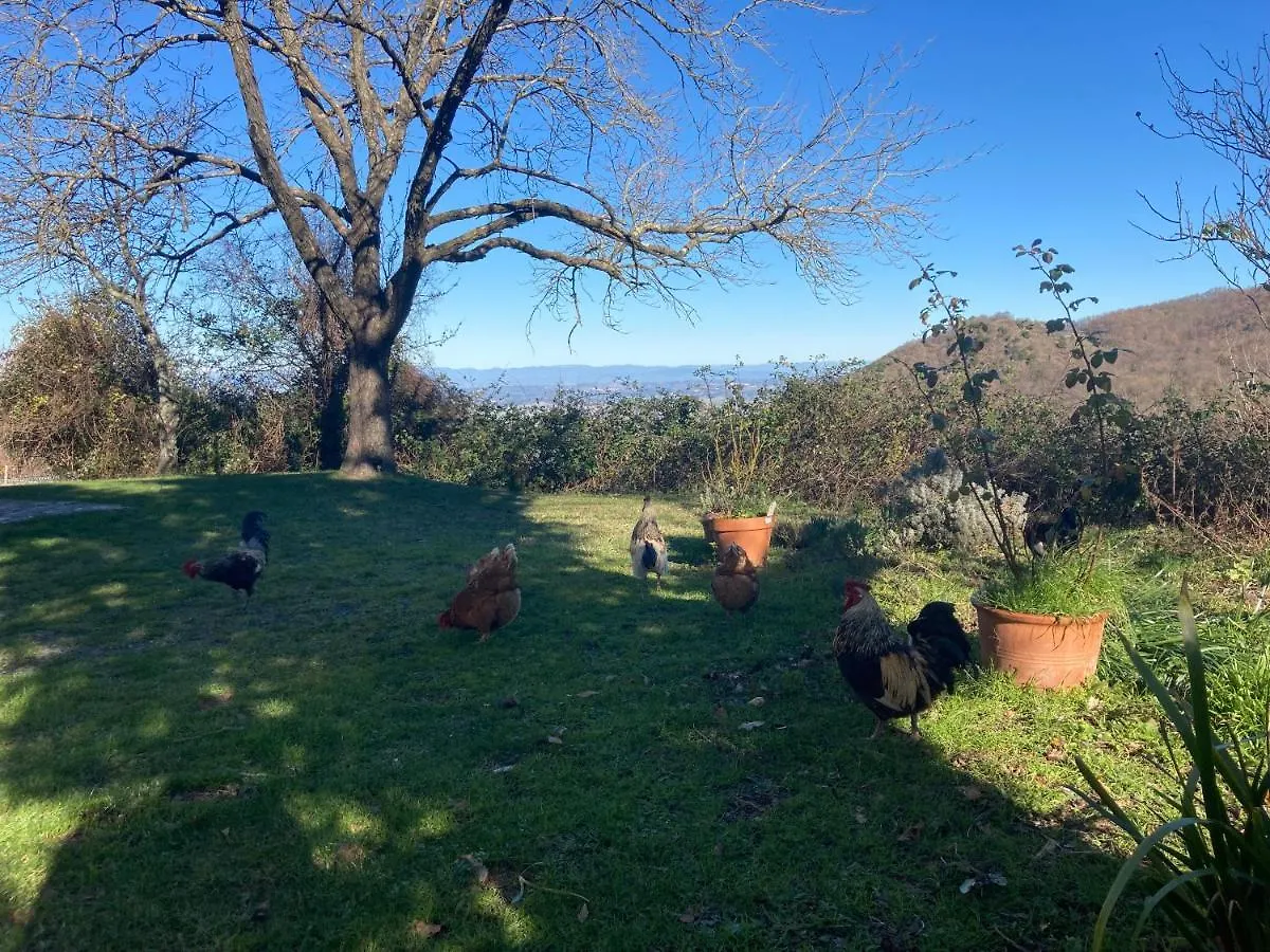 Agriturismo Palareta Montecatini Val di Cecina Agroturismo
